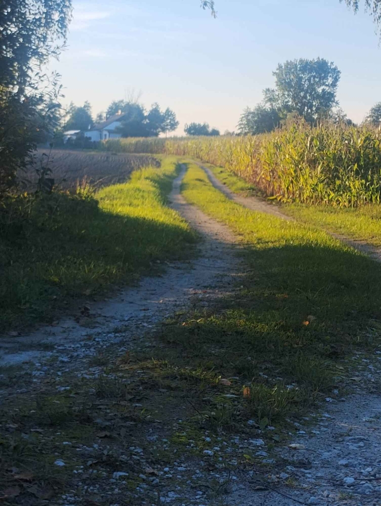 sprzedam siedlisko Nowa Obra - zdjęcie 5