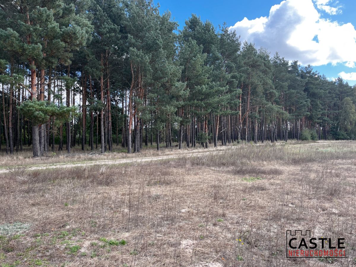 Działka budowlana blisko lasu, Trzciel/Jasieniec Trzciel - zdjęcie 8