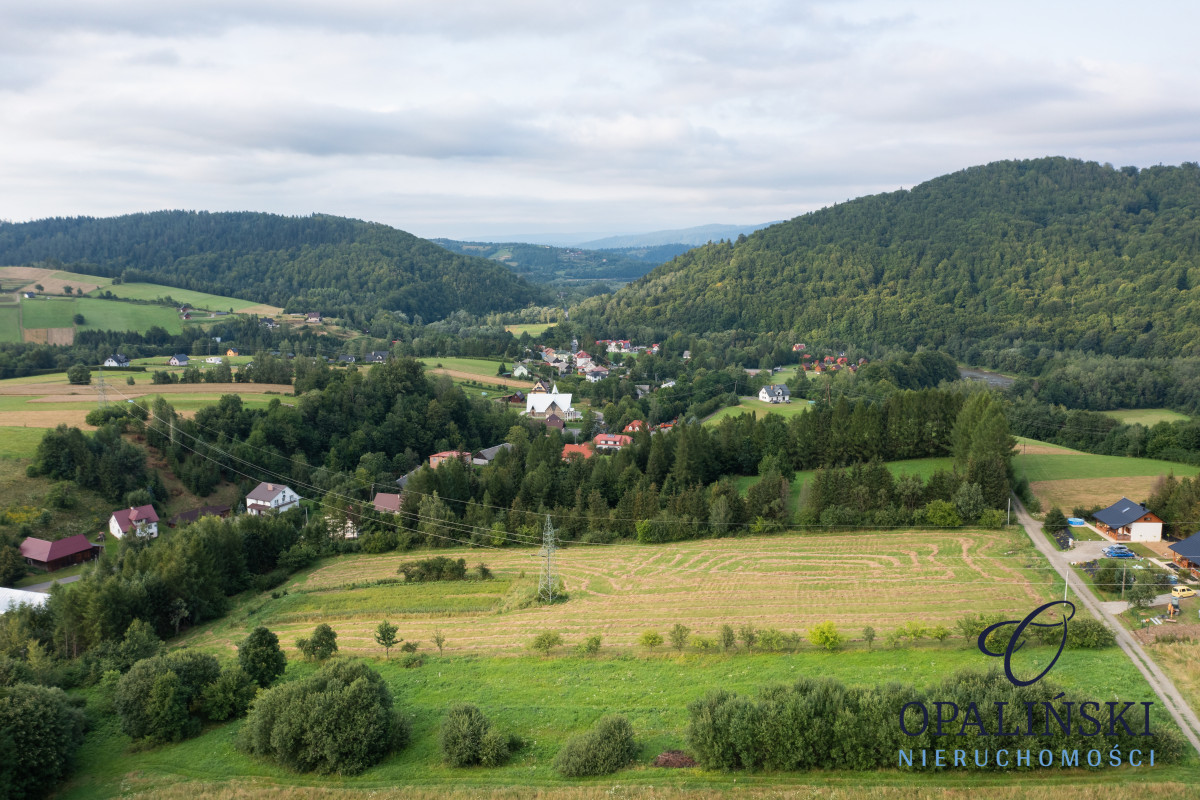 Panorama | Zacisze | Odetchnij w Bieszczadach Bukowiec - zdjęcie 4