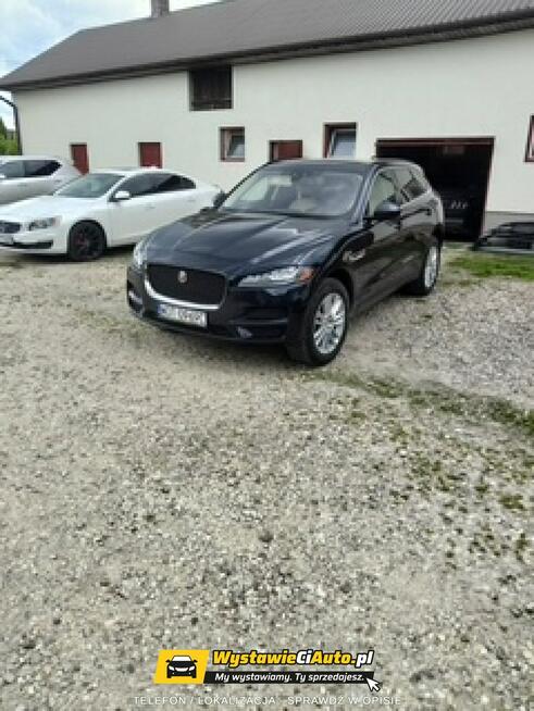 Jaguar F-PACE Telefon: 516_974_116 Lokalizacja: Kołbiel Kołbiel - zdjęcie 1