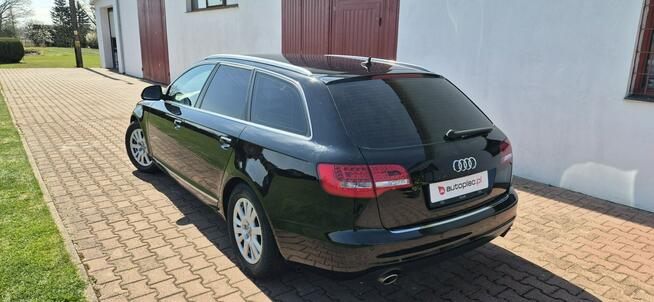 Audi A6 AUTOMAT-LED-SKORA Paproć - zdjęcie 8