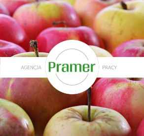 Zbiory owoców - wymagane prawo jazdy - praca sezonowa Krowodrza - zdjęcie 1