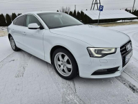 Audi A5 2,0tdi Navigacja.Skóry.Tempomat.Xenony.Ledy.Alu.kredyt! Kutno - zdjęcie 2