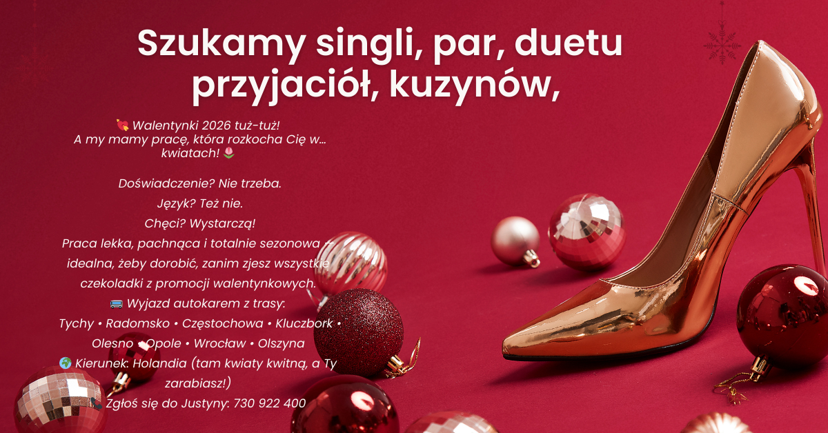 Praca w Holandii na 2 tygodnie! Strzelce Opolskie - zdjęcie 1