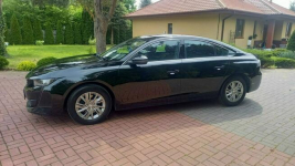 Peugeot 508 Mały przebieg. Stan bdb. Promocja cenowa do końca miesiąca Płońsk - zdjęcie 10
