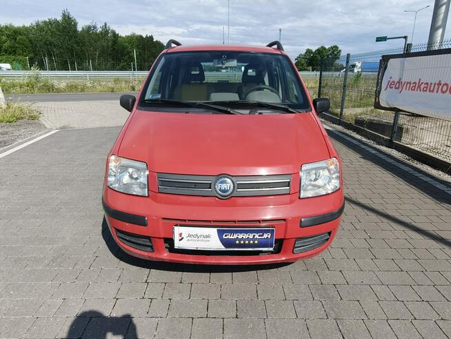 Fiat Panda Lipówki - zdjęcie 3