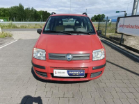 Fiat Panda Lipówki - zdjęcie 3