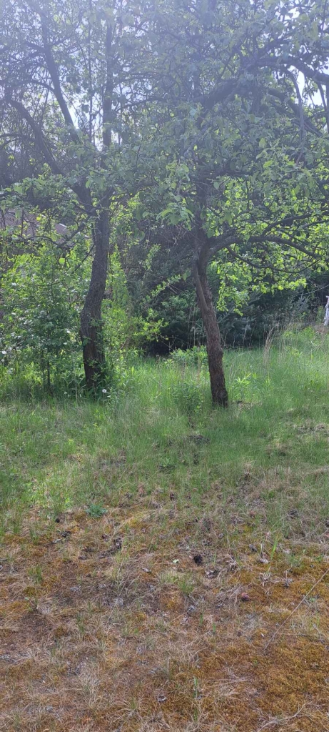 Sprzedam działkę rekreacyjną Wołomin - zdjęcie 6