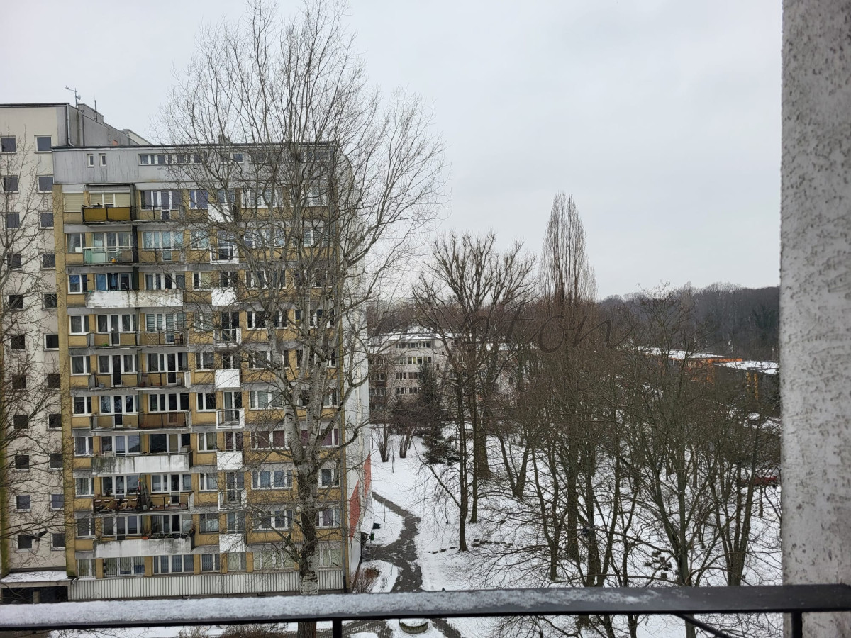 1 pokojowe mieszkanie przy Polu Mokotowskim Mokotów - zdjęcie 11