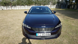 Peugeot 508 super stan. Gwarancja. Polecam!!! Zielona Góra - zdjęcie 2
