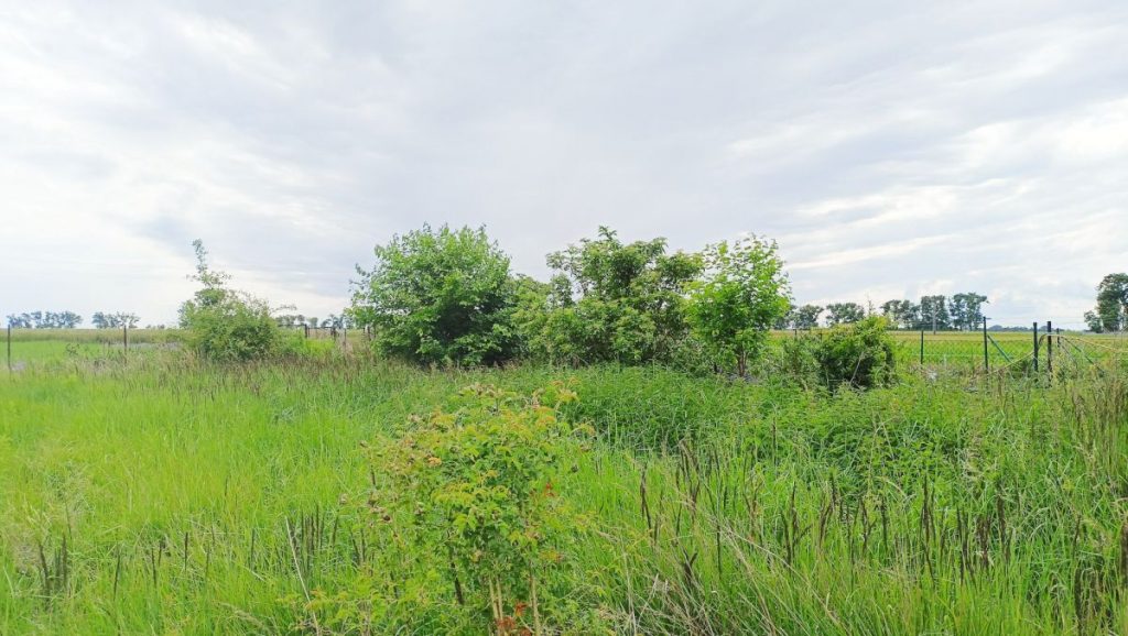 Działka z MPZP, możliwość dalszego podziału. Komorniki - zdjęcie 5