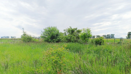 Działka z MPZP, możliwość dalszego podziału. Komorniki - zdjęcie 5