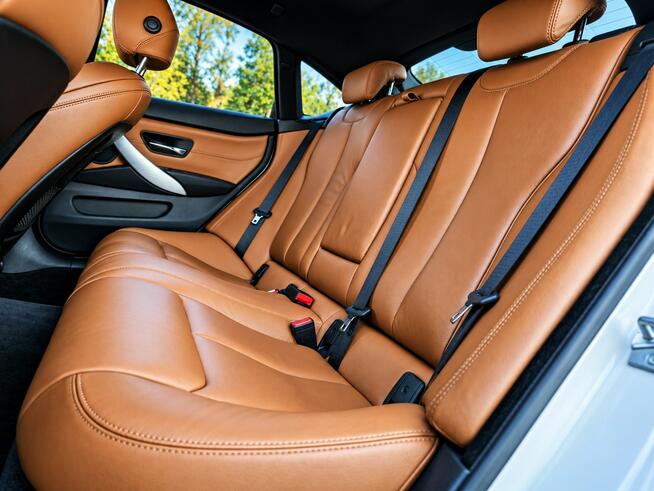 BMW 420 Sadlno - zdjęcie 12