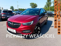 Opel Grandland X 1-właściciel Salon Polska