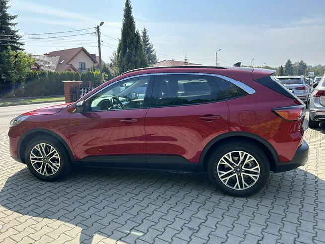 Ford Escape 1.5 EcoBoost, SEL, AWD,automat! Tarnów - zdjęcie 9