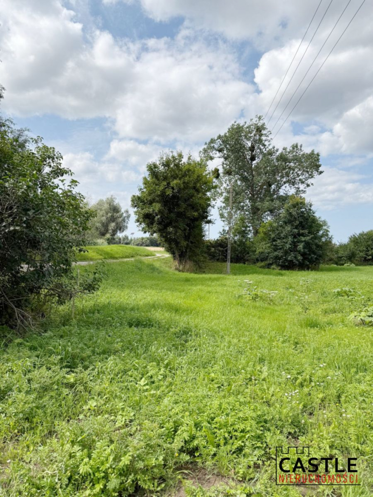 10 km od Stegny I przy wale Tugi I pod stadninę Stobiec - zdjęcie 4