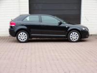 Audi A3 Lift / Klimatronic /1,6 /115KM /2006r Mikołów - zdjęcie 3