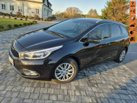 Kia Cee'd 1.6 gdi oświetlenie led Benzyna KAMERA navi