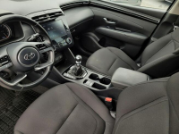 Hyundai Tucson 1.6 T-GDI 150KM, manual, serwisowany w ASO, gwarancja Toruń - zdjęcie 10