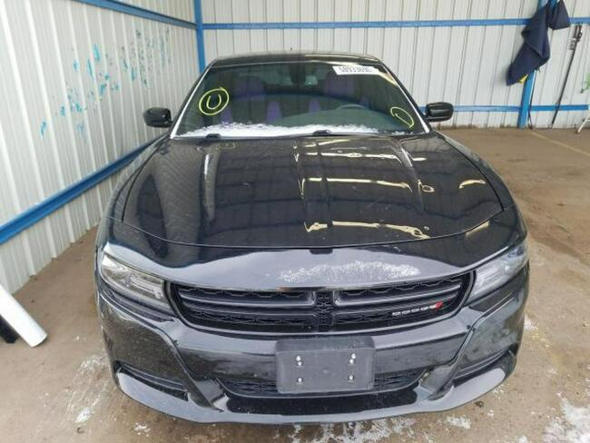 Dodge Charger 2017, 3.6L, SXT, po gradobiciu Słubice - zdjęcie 3