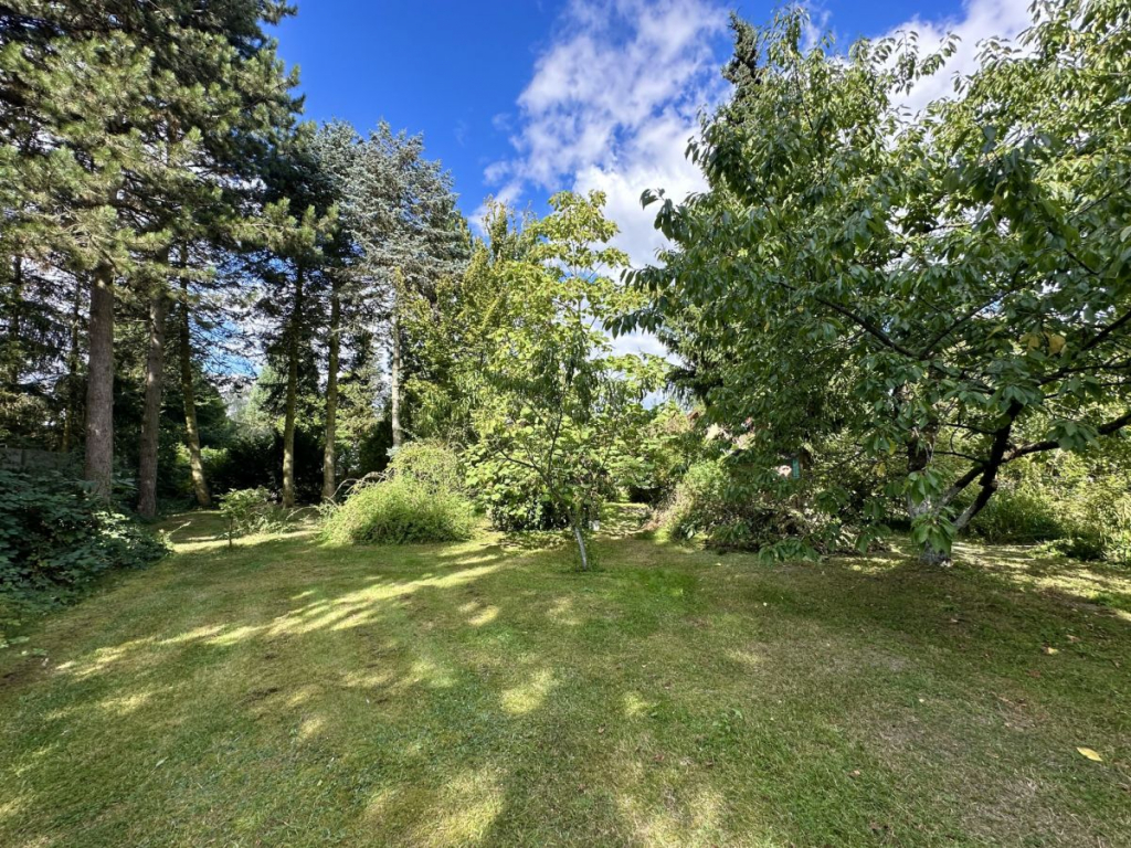 Nowa cena! Dom z bajkowym ogrodem Biskupice - zdjęcie 9