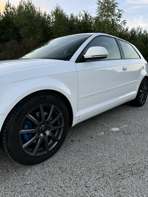 Audi A3 2.0 TDI DPF Ambition Cekcyn - zdjęcie 3