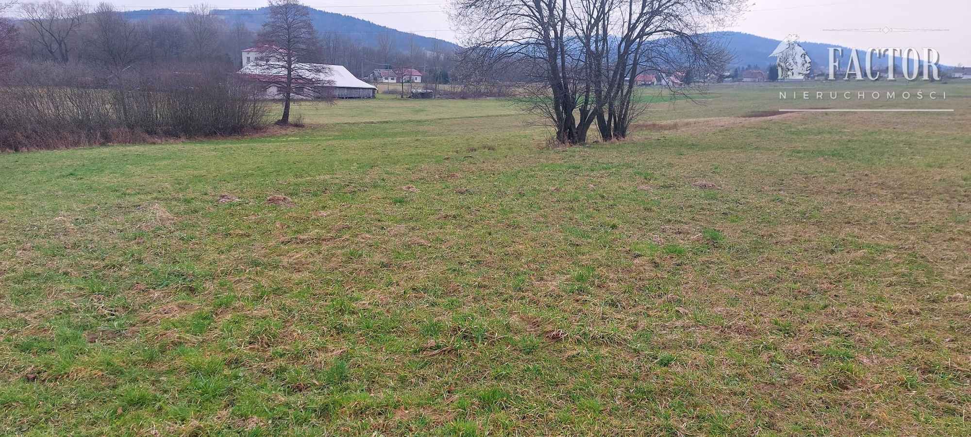 Szalowa, działka rolna 4,5 ha, 1114S/2024 Szalowa - zdjęcie 3