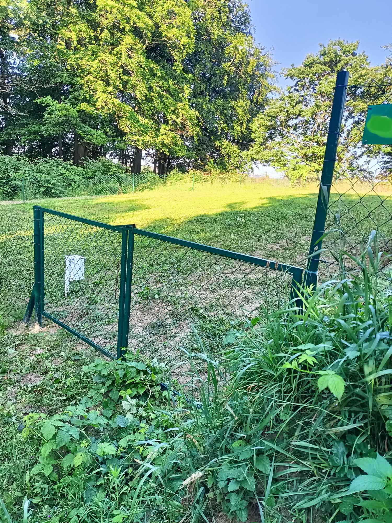 Działka rod przylesie złota karczma Gdańsk - zdjęcie 1