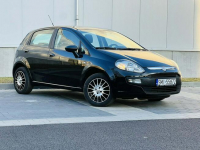 Fiat Punto Evo 1.4 Benz. Po serwisie Mikołów - zdjęcie 7