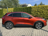 Ford Escape 2.0 EcoBoost 250 KM AWD automat Tarnów - zdjęcie 3