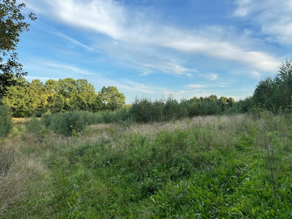 Działka na sprzedaż Chmielno Chmielno - zdjęcie 1