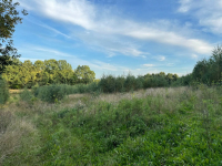 Działka na sprzedaż Chmielno