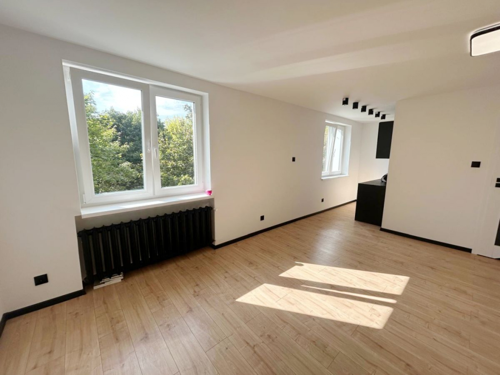 Przestronne i atrakcyjne mieszkanie po remoncie! Poznań - zdjęcie 4