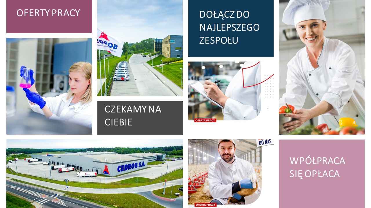 Pracownik Produkcji Kutno - zdjęcie 1