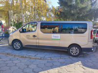 renault trafic 9 osobowy Przybyłów - zdjęcie 3