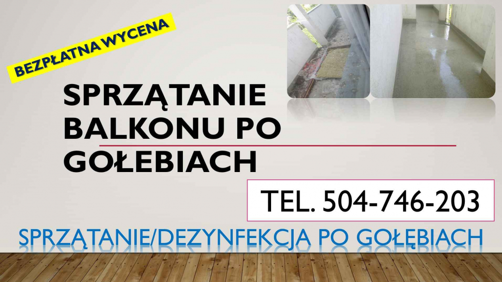 Czyszczenie po gołębiach, t. 504-746-203, sprzątanie ptasich odchodów Psie Pole - zdjęcie 3