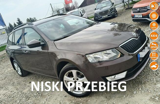 Škoda Octavia TDi*4x4*Niski przebiegm Bibice - zdjęcie 1