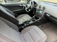 Audi A3 Bardzo Zadbany**140 KM**Tylko 2 Właściciel Ruda Śląska - zdjęcie 12