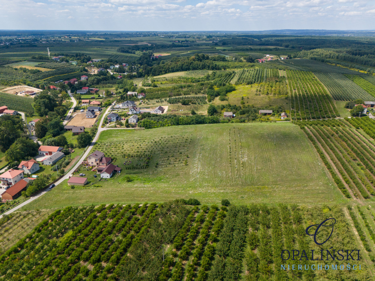 Dom wolnostojący | 3,1 ha | Urokliwe miejsce Skrzypaczowice - zdjęcie 9