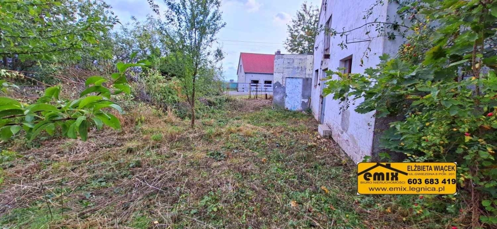 Działka z domem i możliwością jego rozbudowy - 5 km od Chojnowa Złotoryja - zdjęcie 4