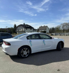 Dodge Charger samochód do ślubu Ostrołęka - zdjęcie 4