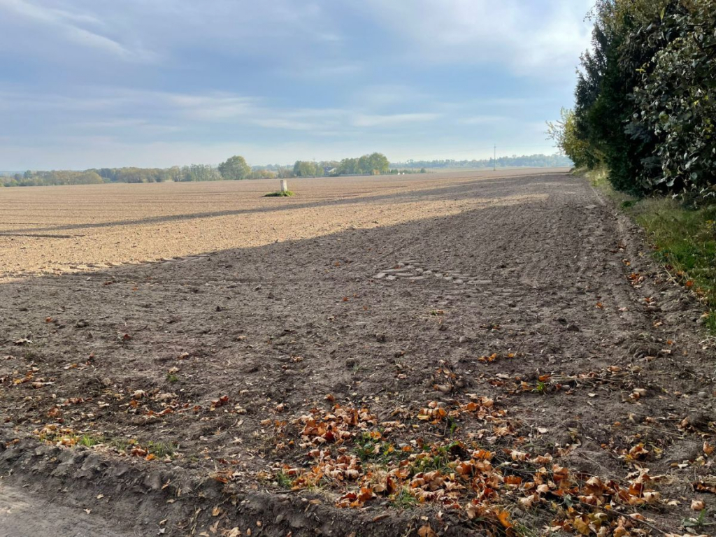 Działka budowlana w spokojnej okolicy! Promienko - zdjęcie 5