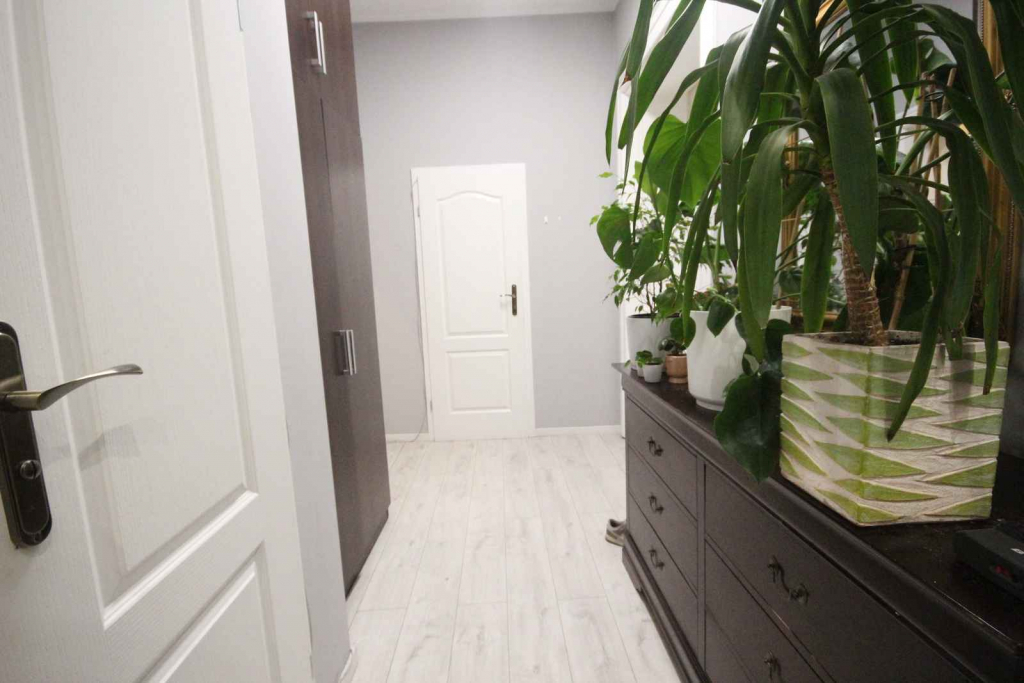 4pok, 97met, okolice Placu Macieja 2PIWNICE/STRYCH (Wrocław) Śródmieście - zdjęcie 9