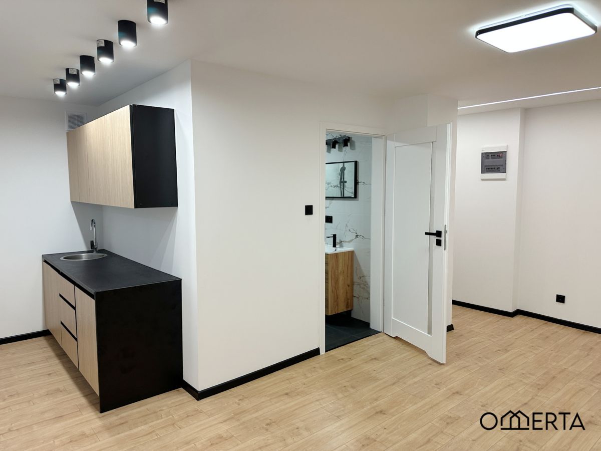 Przestronne i atrakcyjne mieszkanie po remoncie! Poznań - zdjęcie 6