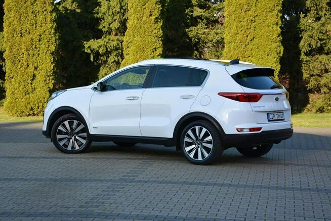 Biała Perła  JBL Panorama Radar ACC Skóry Ledy 4wd Wentylacja ASO KIA Ostrów Mazowiecka - zdjęcie 5