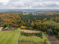 Działka pod lasem 16,80 ar z warunkami zabudowy Rzeszów - zdjęcie 11