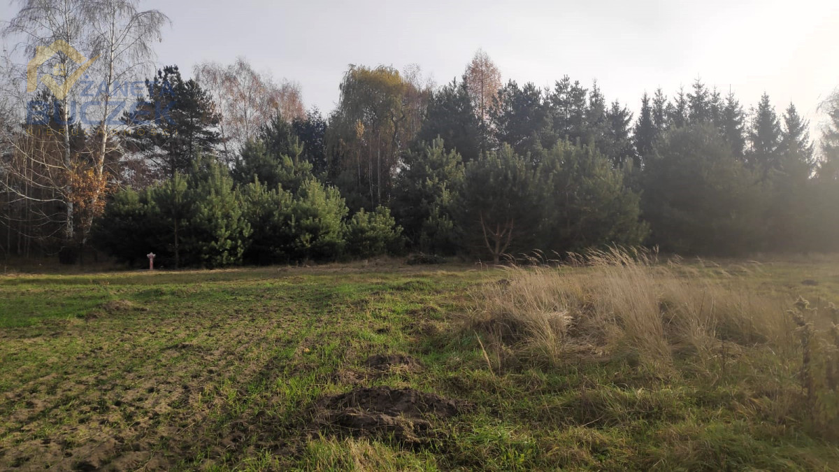 Sprzedam działki budowlano-usługowe w Lubiejewie Lubiejew - zdjęcie 4