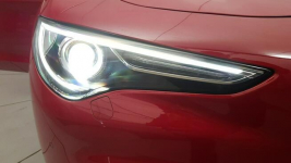 Stelvio 2.0 Turbo Business Q4! Z polskiego salonu! Z FV! Warszawa - zdjęcie 11