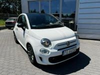 Fiat 500 Salon PL Hey Google Panorama CarPlay Baranowo - zdjęcie 8