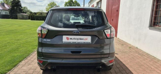 Ford Kuga ST-LINE-KAMERA-START-STOP Paproć - zdjęcie 9